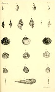 n232_w1150