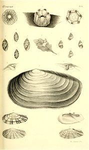 n172_w1150