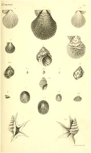 n142_w1150