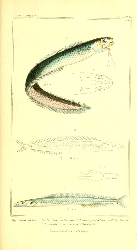 n402_w1150