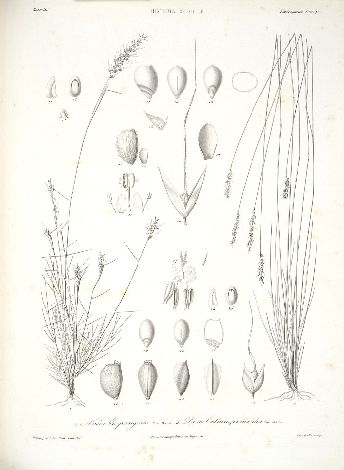 n157_w1150