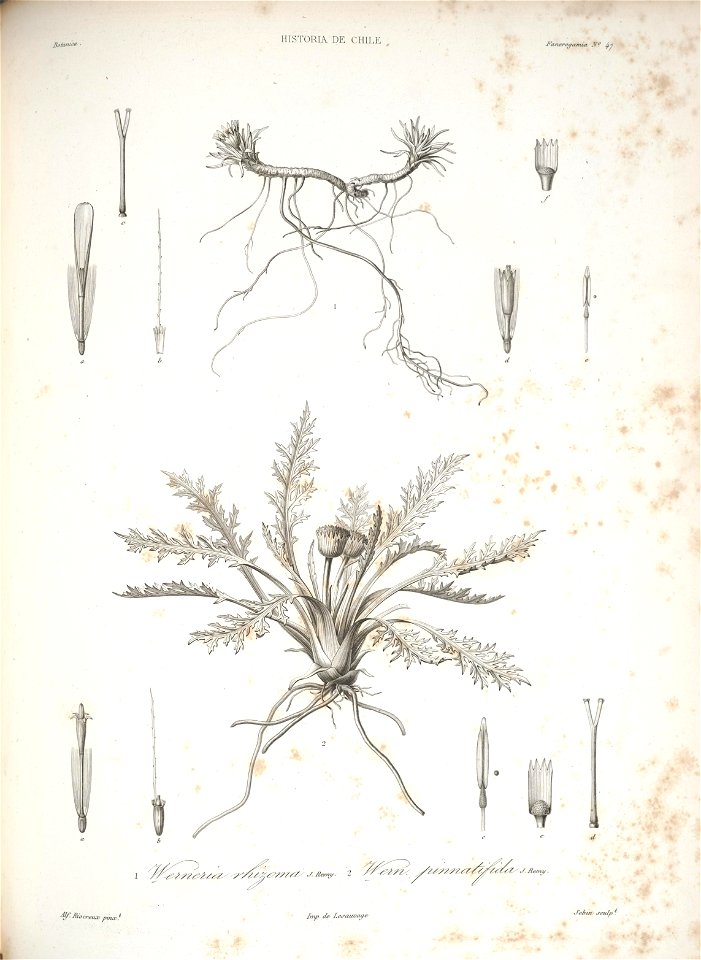 n127_w1150