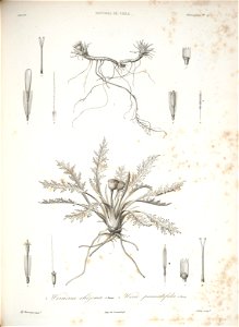 n127_w1150