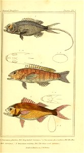 n128_w1150