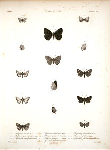 n110_w1150