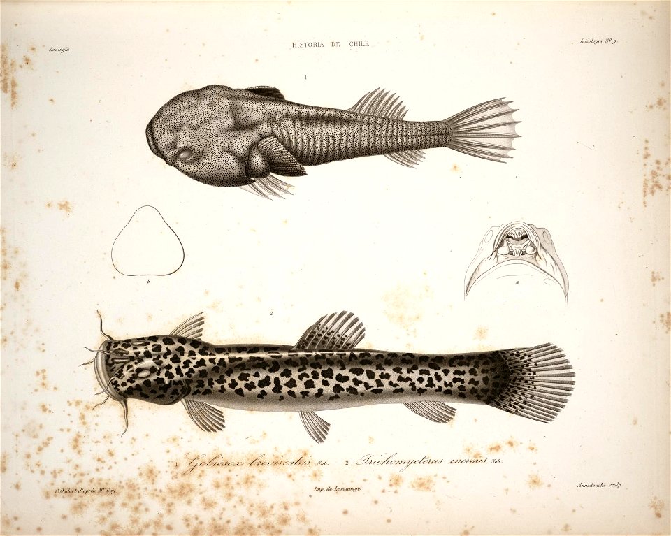 n50_w1150