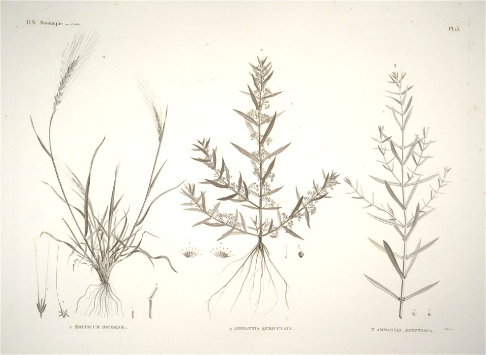 n15_w1150