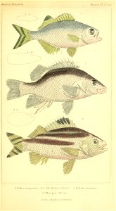 n150_w1150