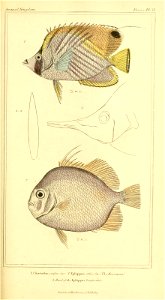 n268_w1150