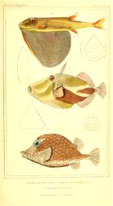 n406_w1150