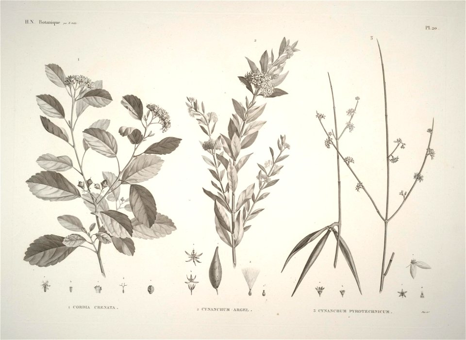 n19_w1150