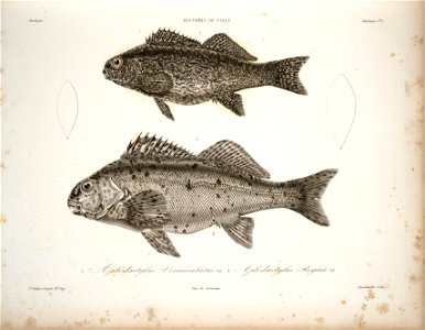 n36_w1150