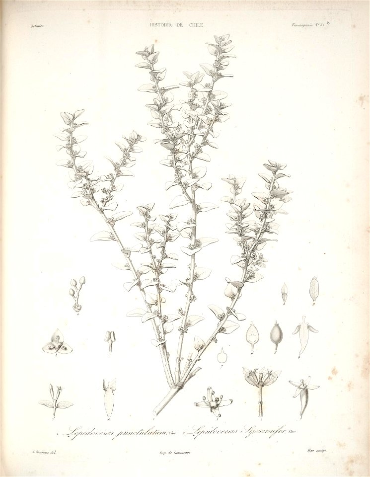 n111_w1150
