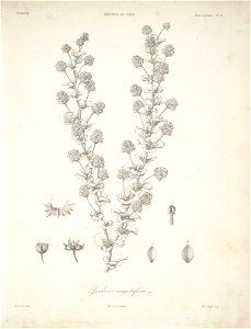 n81_w1150