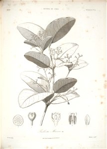 n140_w1150