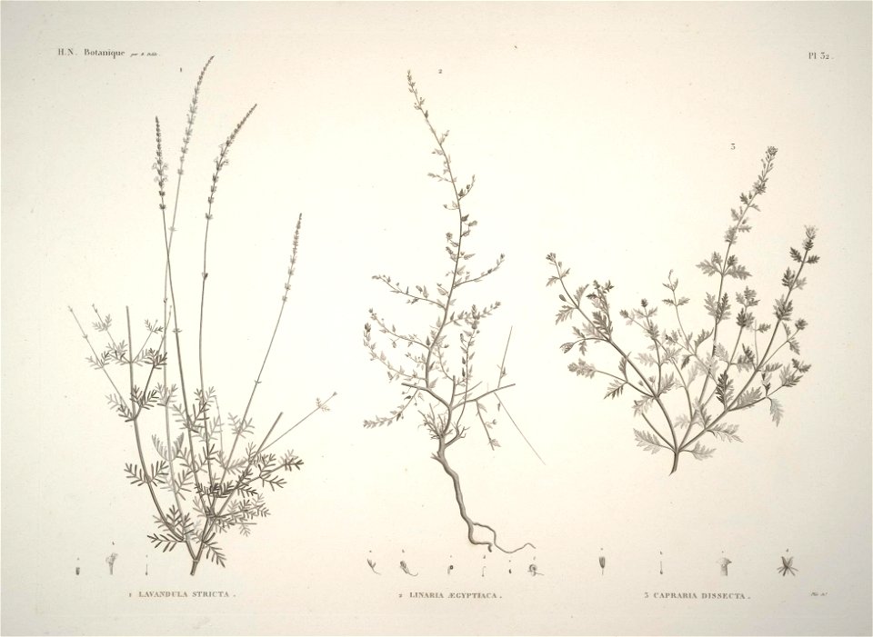 n31_w1150