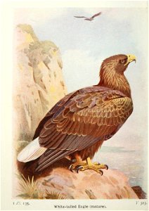 n469_w1150