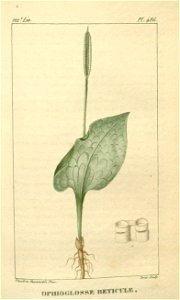 n184_w1150