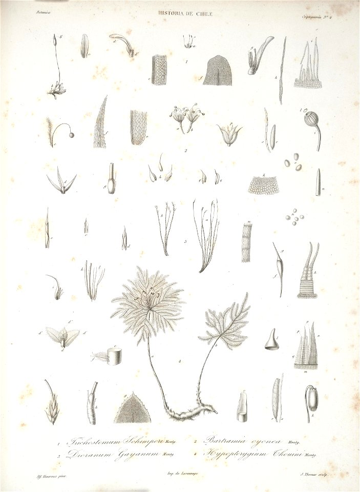 n167_w1150