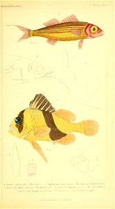 n148_w1150