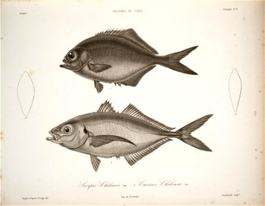 n46_w1150