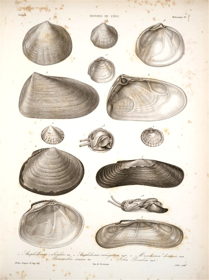 n129_w1150