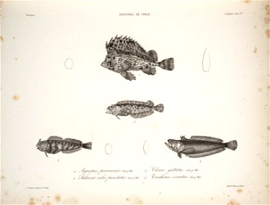 n39_w1150