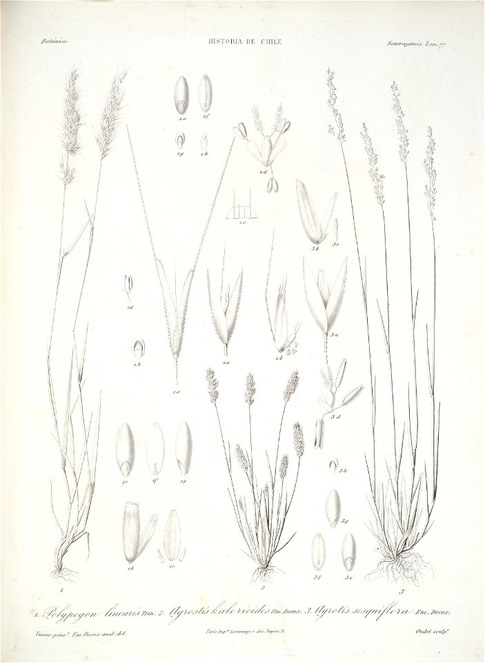 n159_w1150