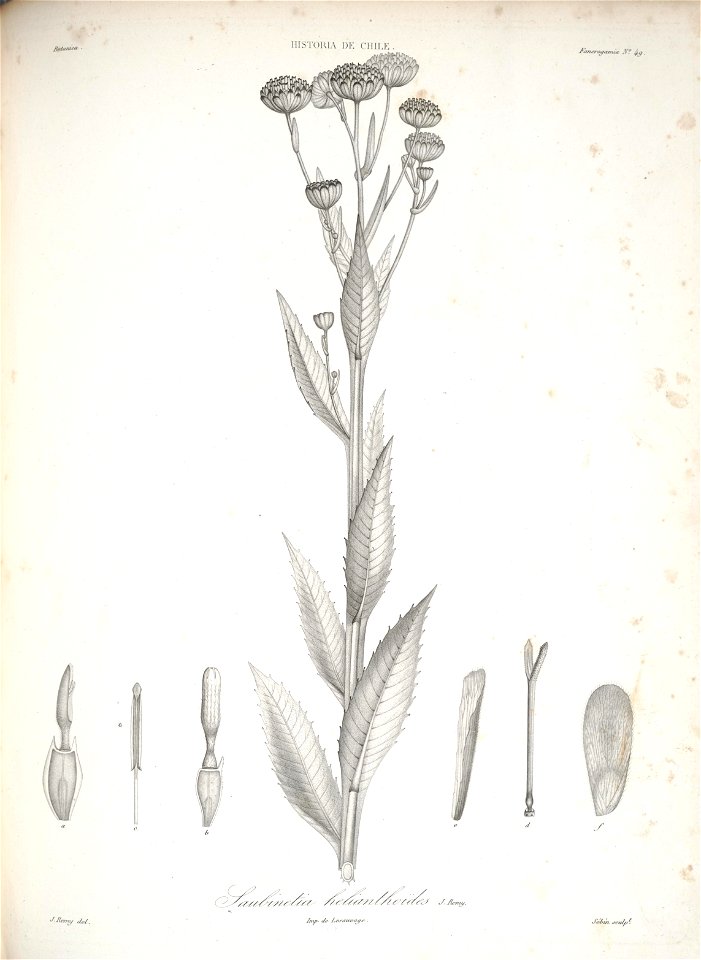 n129_w1150