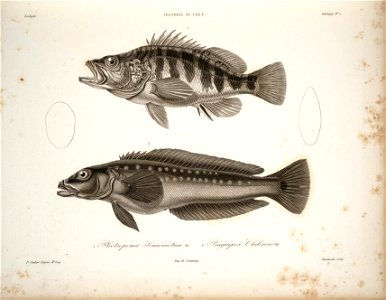 n38_w1150