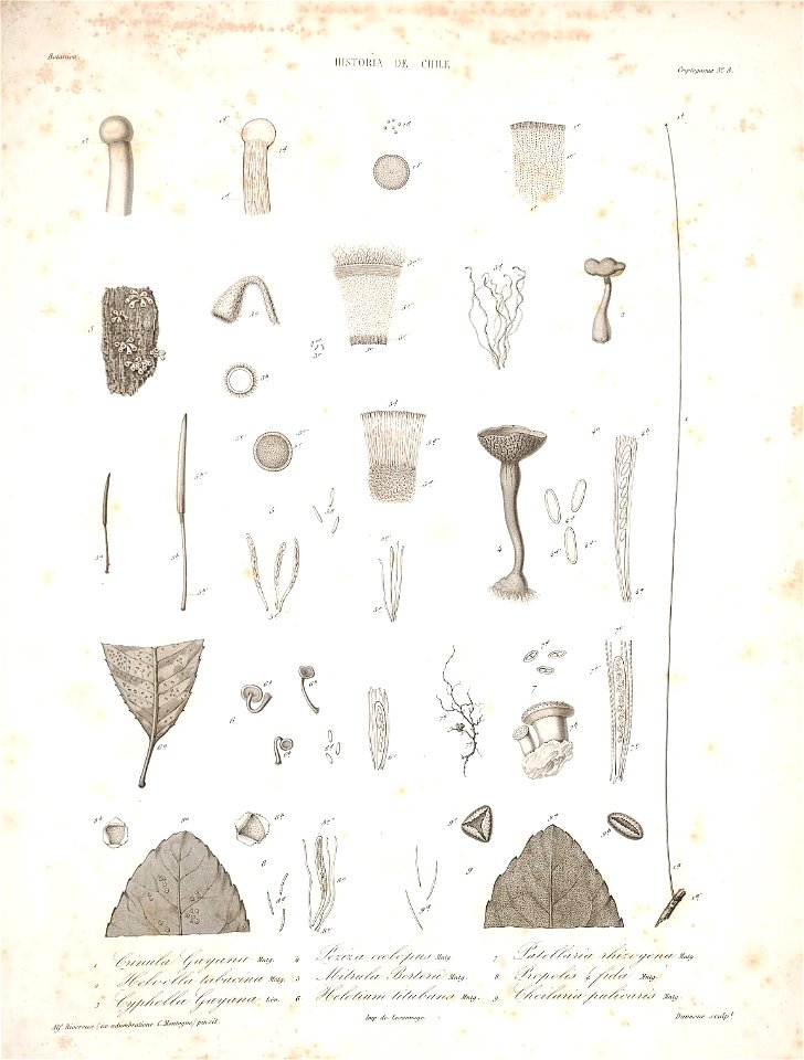 n173_w1150