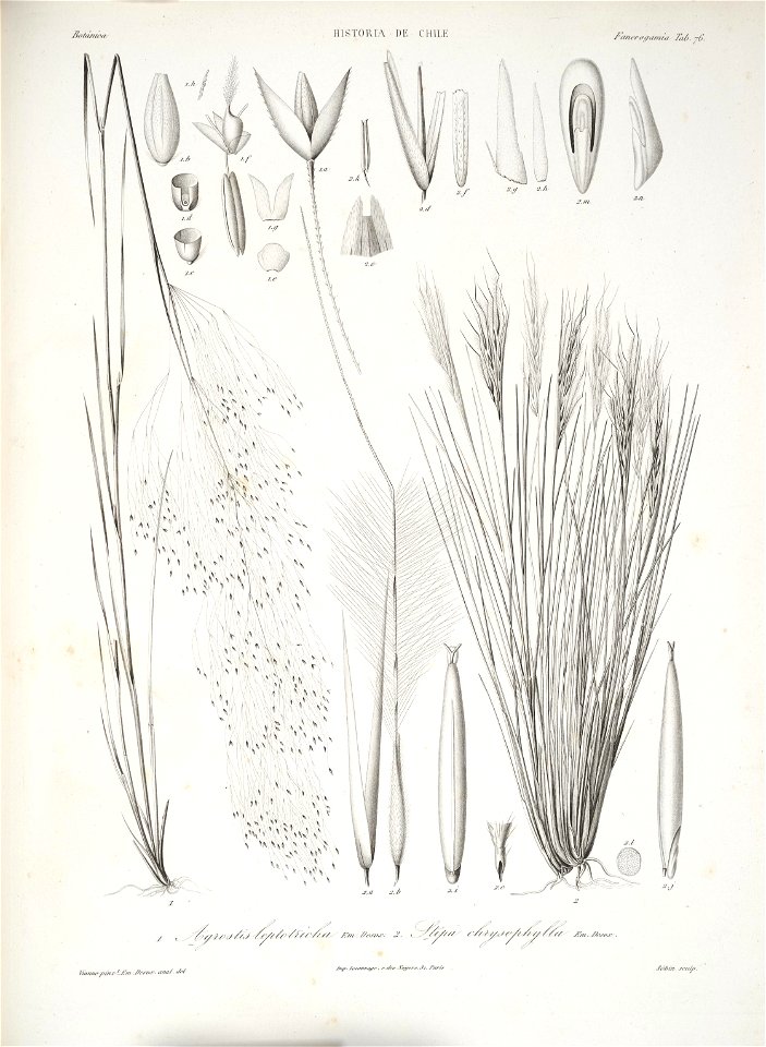 n158_w1150