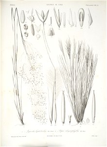 n158_w1150
