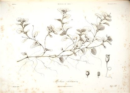 n143_w1150
