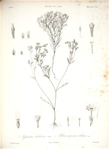 n128_w1150