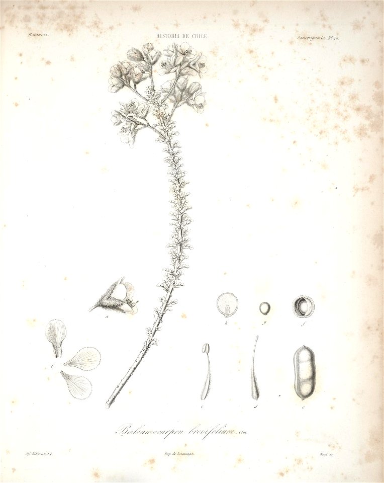 n98_w1150