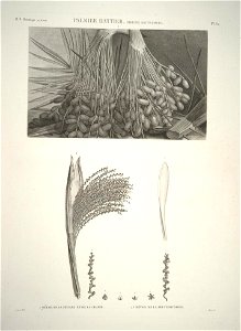n62_w1150