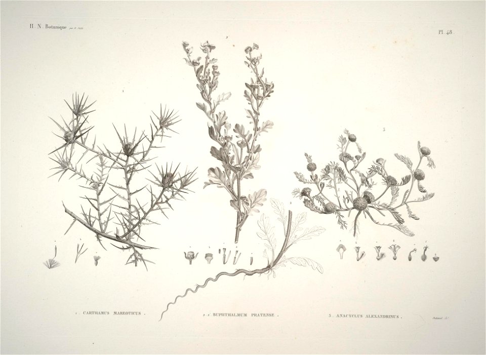 n47_w1150
