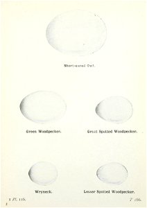 n414_w1150
