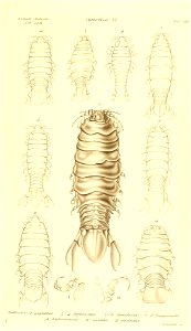 n302_w1150