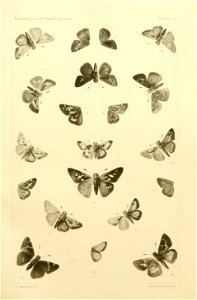 n268_w1150