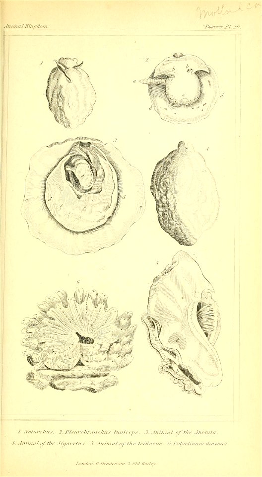 n136_w1150