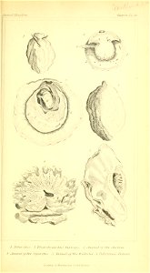 n136_w1150