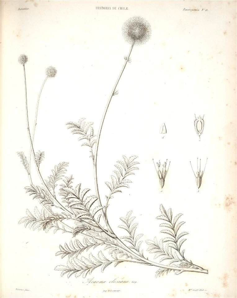 n99_w1150