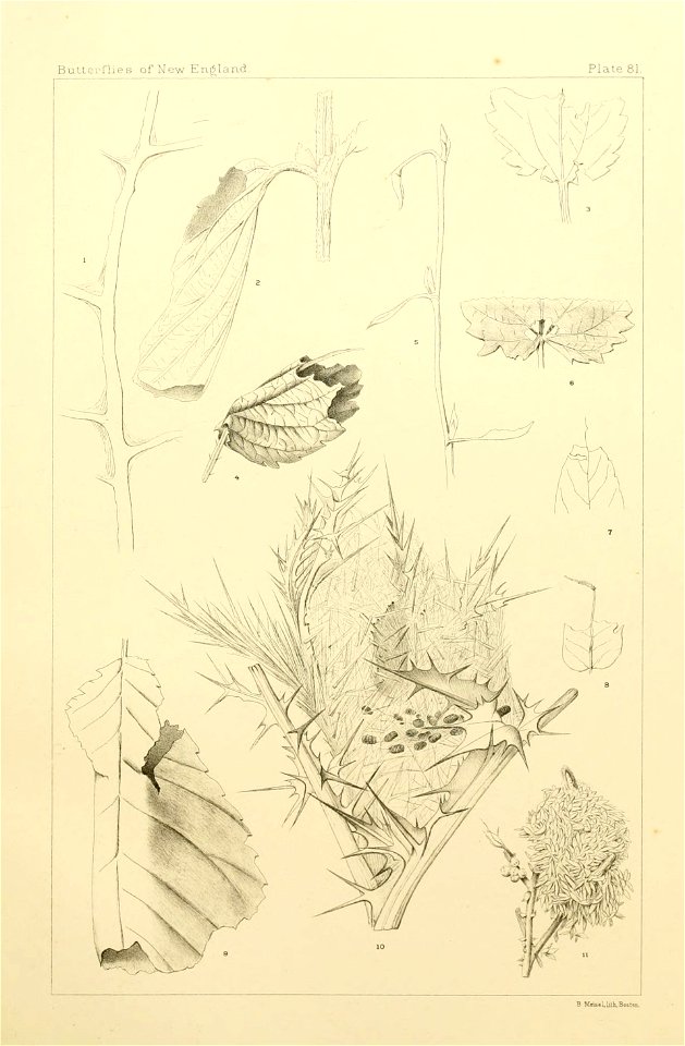 n522_w1150