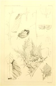n522_w1150