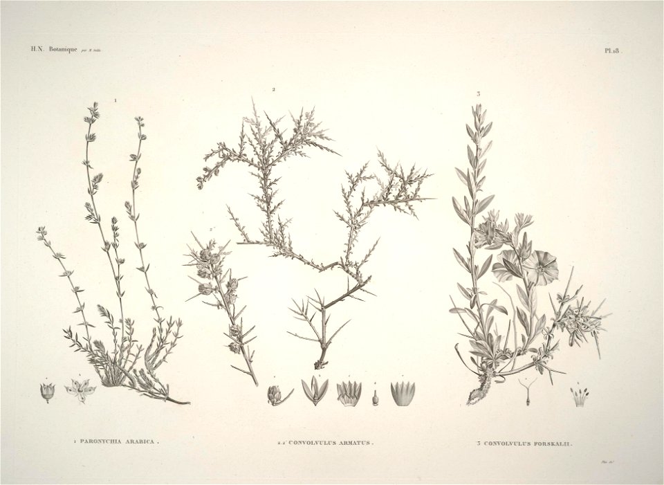 n17_w1150