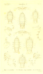 n104_w1150