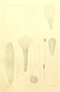 n392_w1150