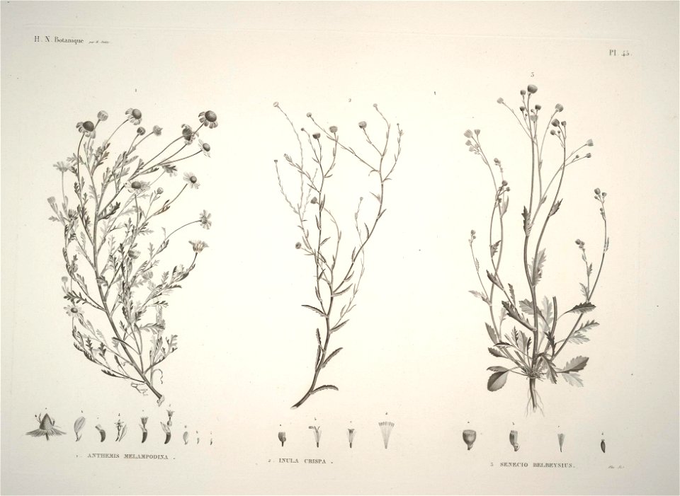 n44_w1150